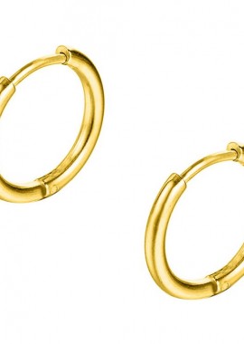 Σκουλαρίκια Κρίκοι 2,5x16 mm Από Ατσάλι Επιχρυσωμένο 24Κ AS48663