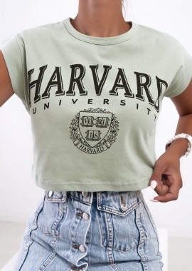 sense-shop - HARVARD MINT CROP TSHIRT